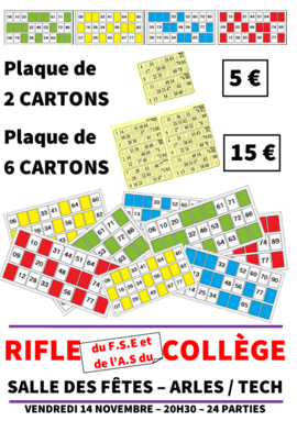 affiche pour ENT.png